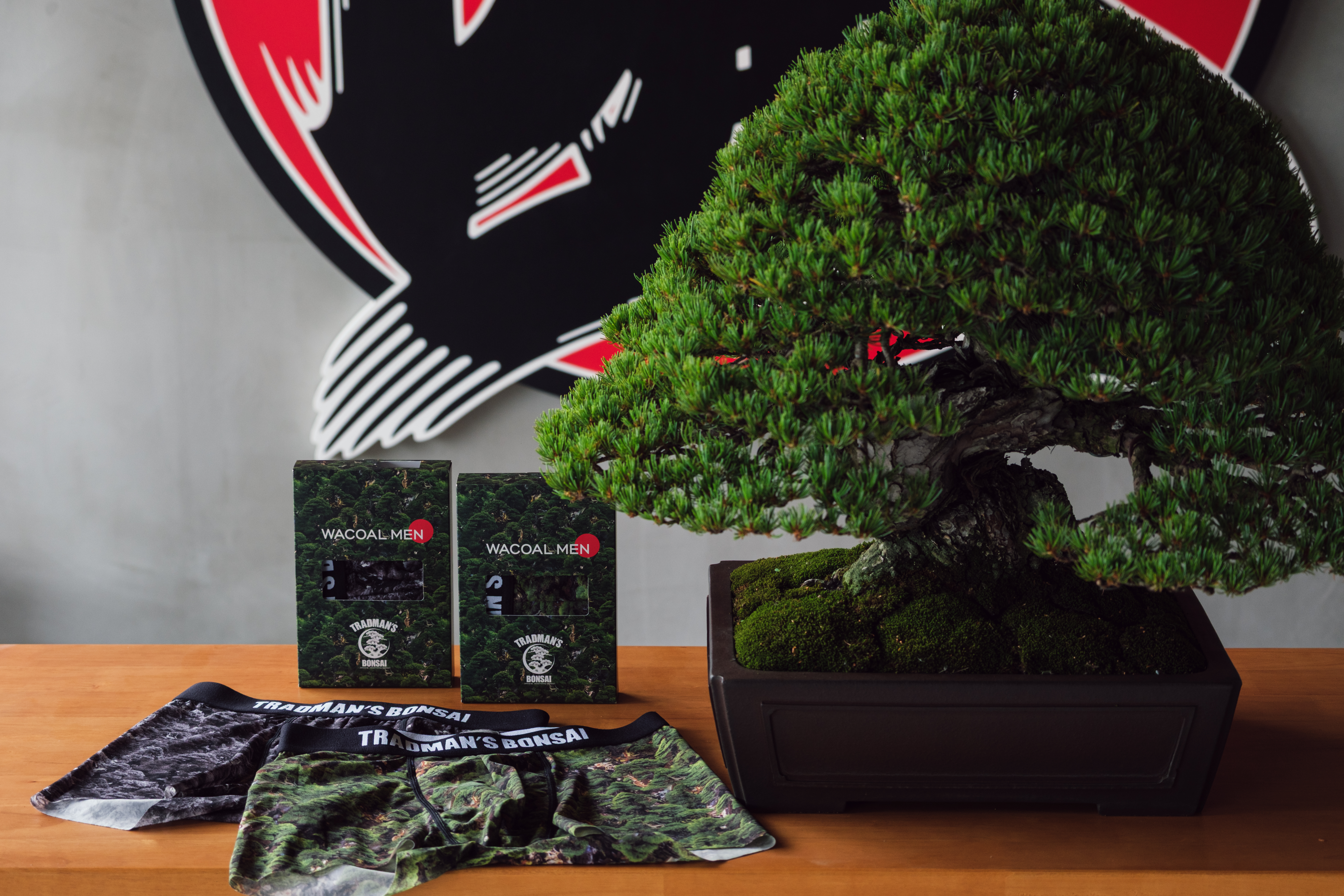 TRADMAN'S BONSAI｜WACOAL MEN 初のコラボレーション